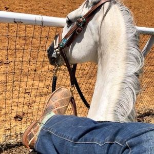 Meet your Posher, Jerilynn